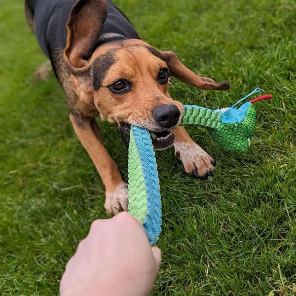 Facilities & Activities