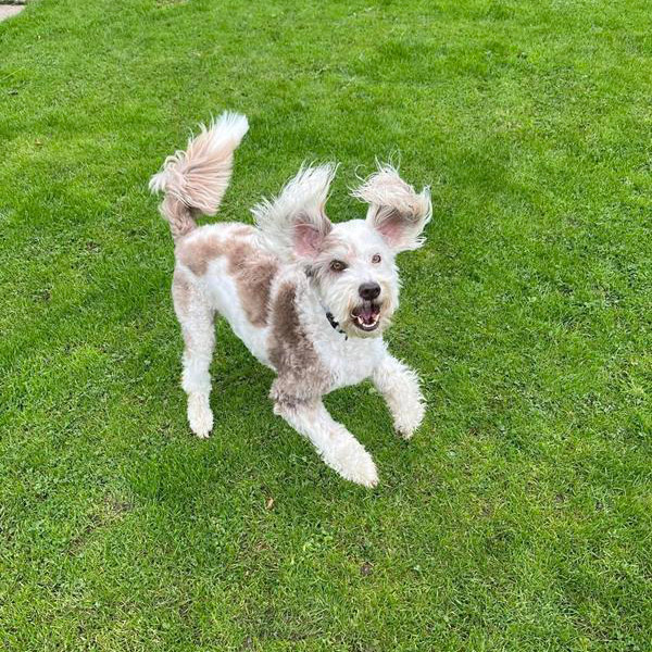 Health and Nutrition